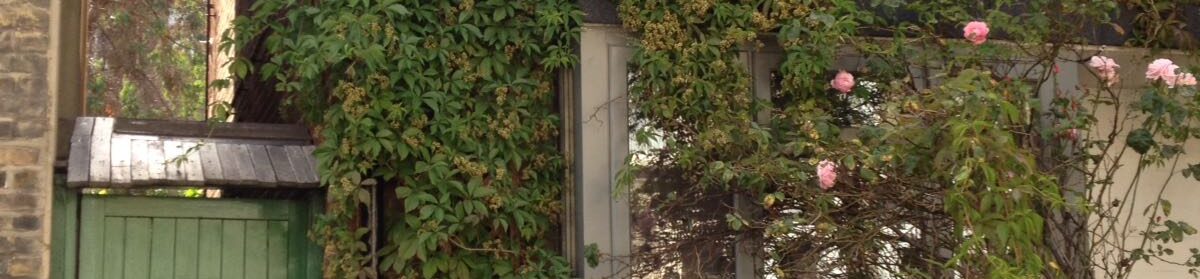 Leo Dolias ~ Psychotherapy ~ Counselling ~ Individuals & Couples